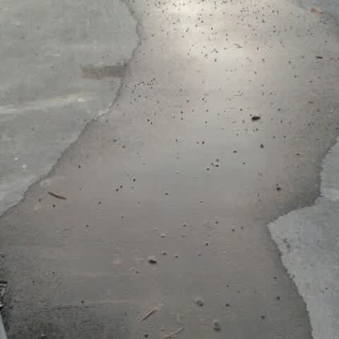 Water Supply, a report photo