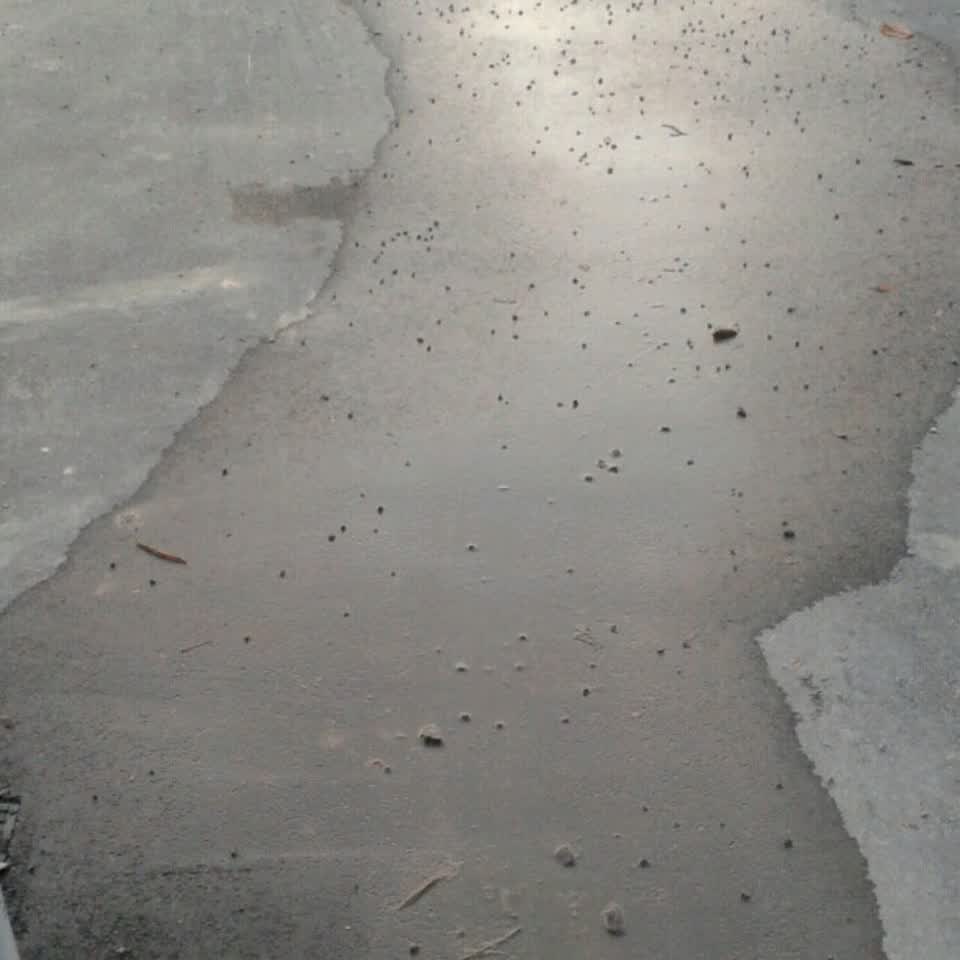 The photograph attached to this water supply report