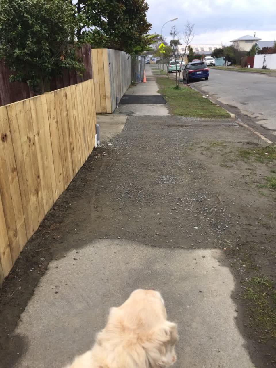 The photograph attached to this roading/streets report