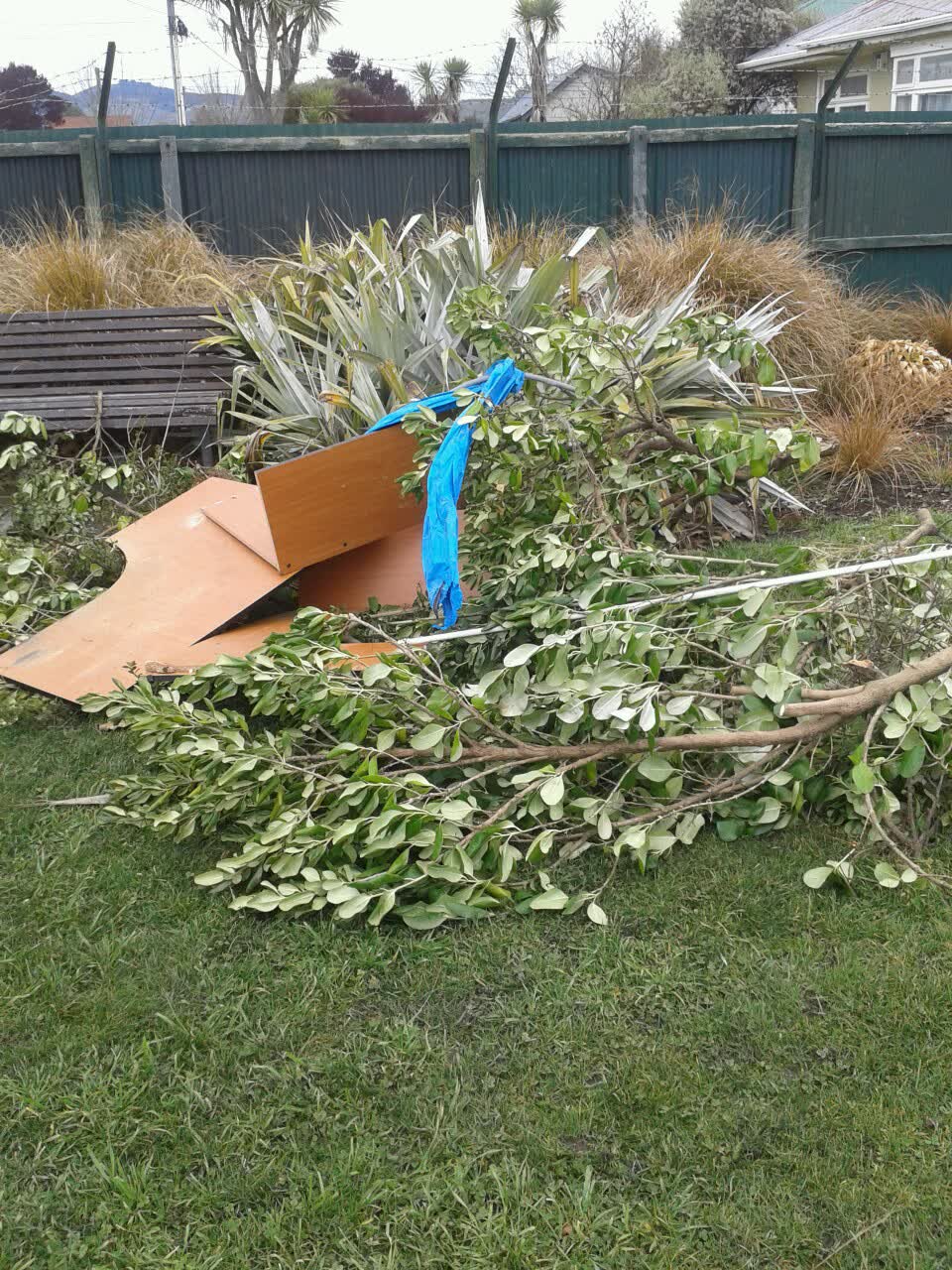 The photograph attached to this parks report