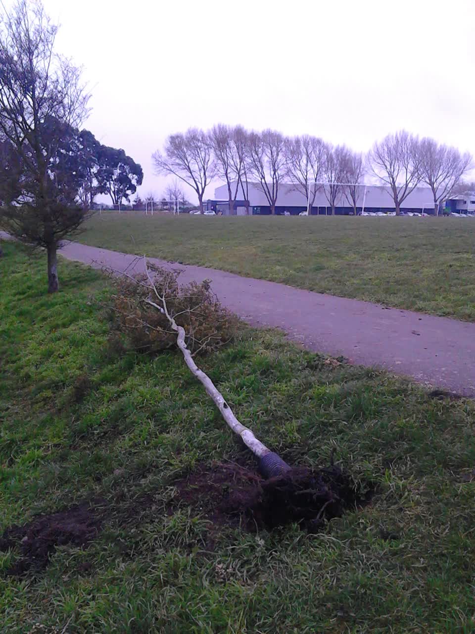 The photograph attached to this parks report