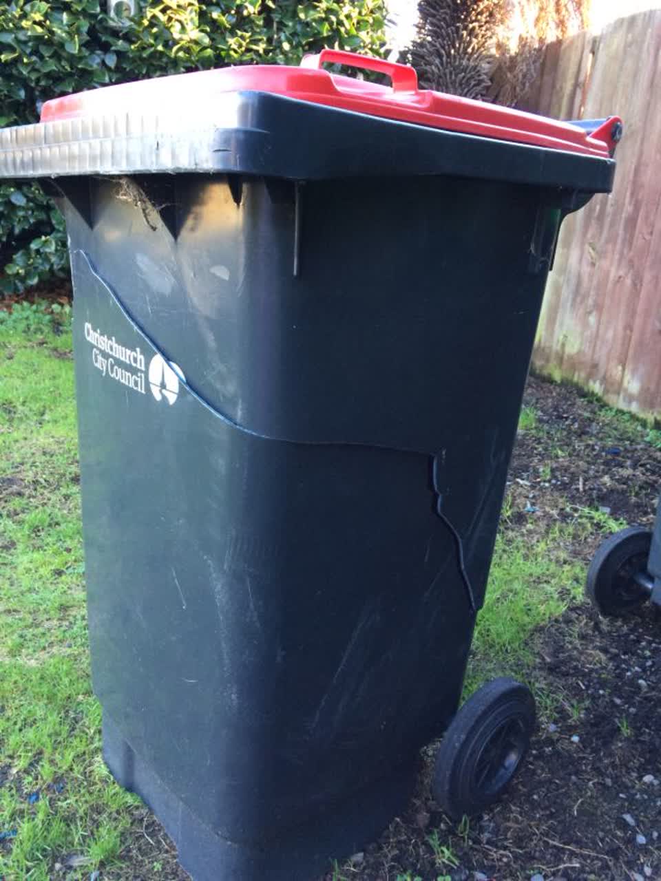 The photograph attached to this rubbish/recycling report