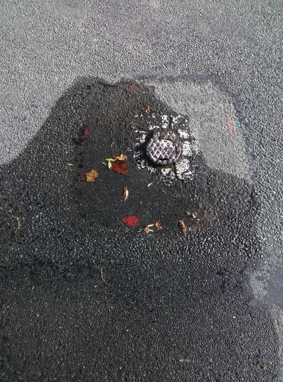 The photograph attached to this roading/streets report
