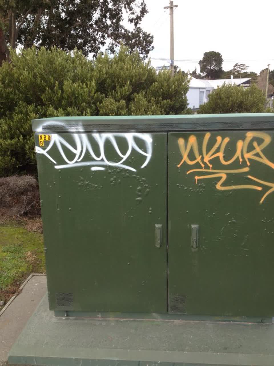 The photograph attached to this graffiti report
