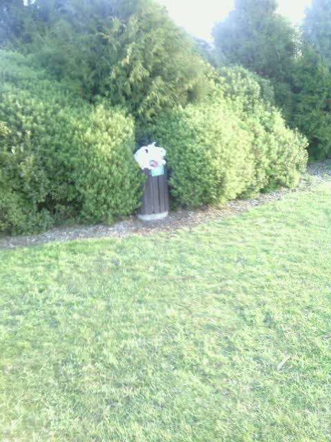 Rubbish/Recycling, a report photo