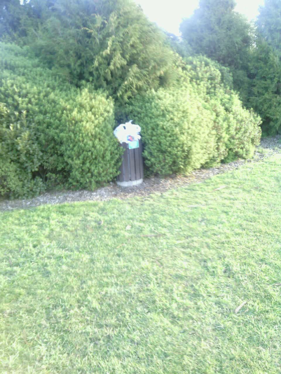 The photograph attached to this rubbish/recycling report