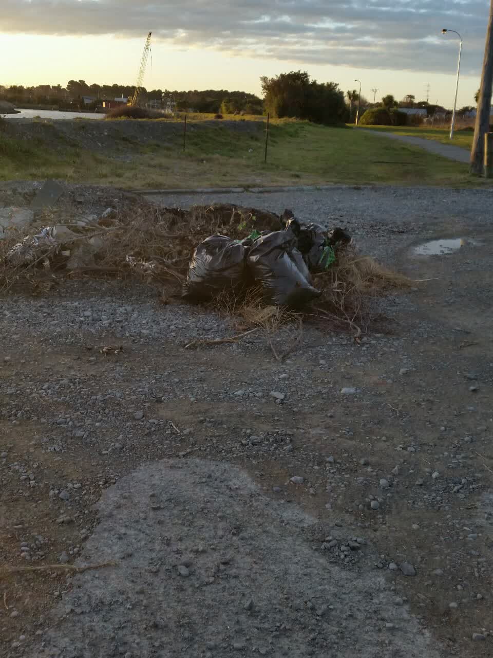 The photograph attached to this rubbish/recycling report