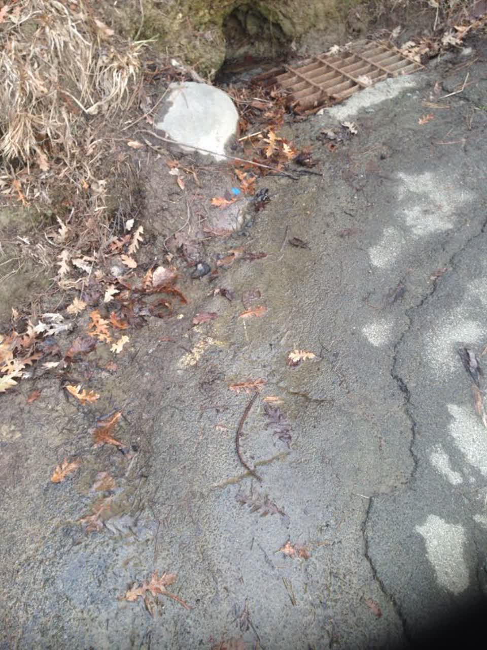 The photograph attached to this wastewater/stormwater report