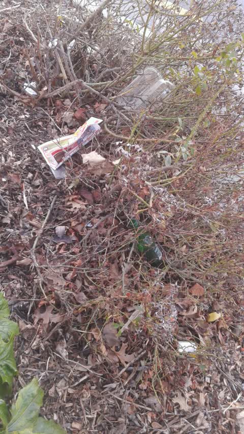 Rubbish/Recycling, a report photo