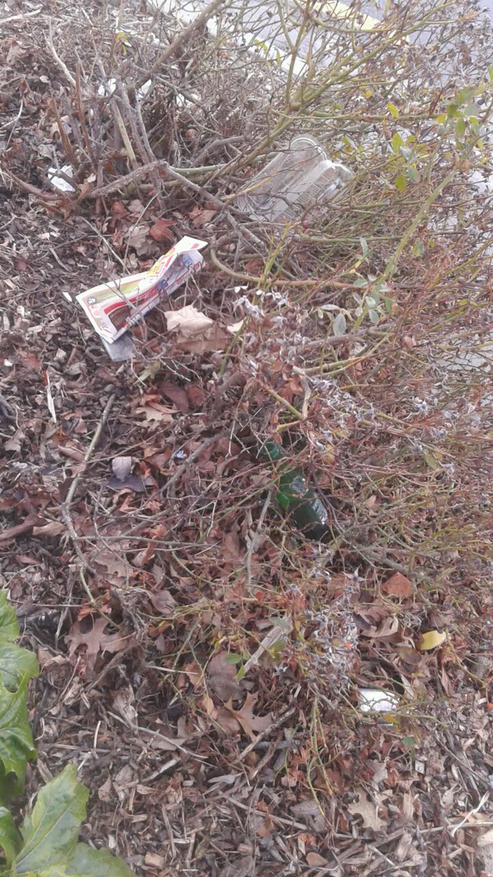 The photograph attached to this rubbish/recycling report