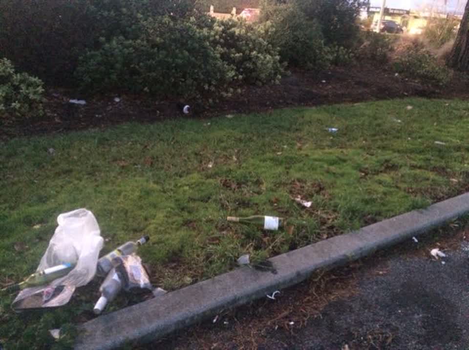 The photograph attached to this rubbish/recycling report