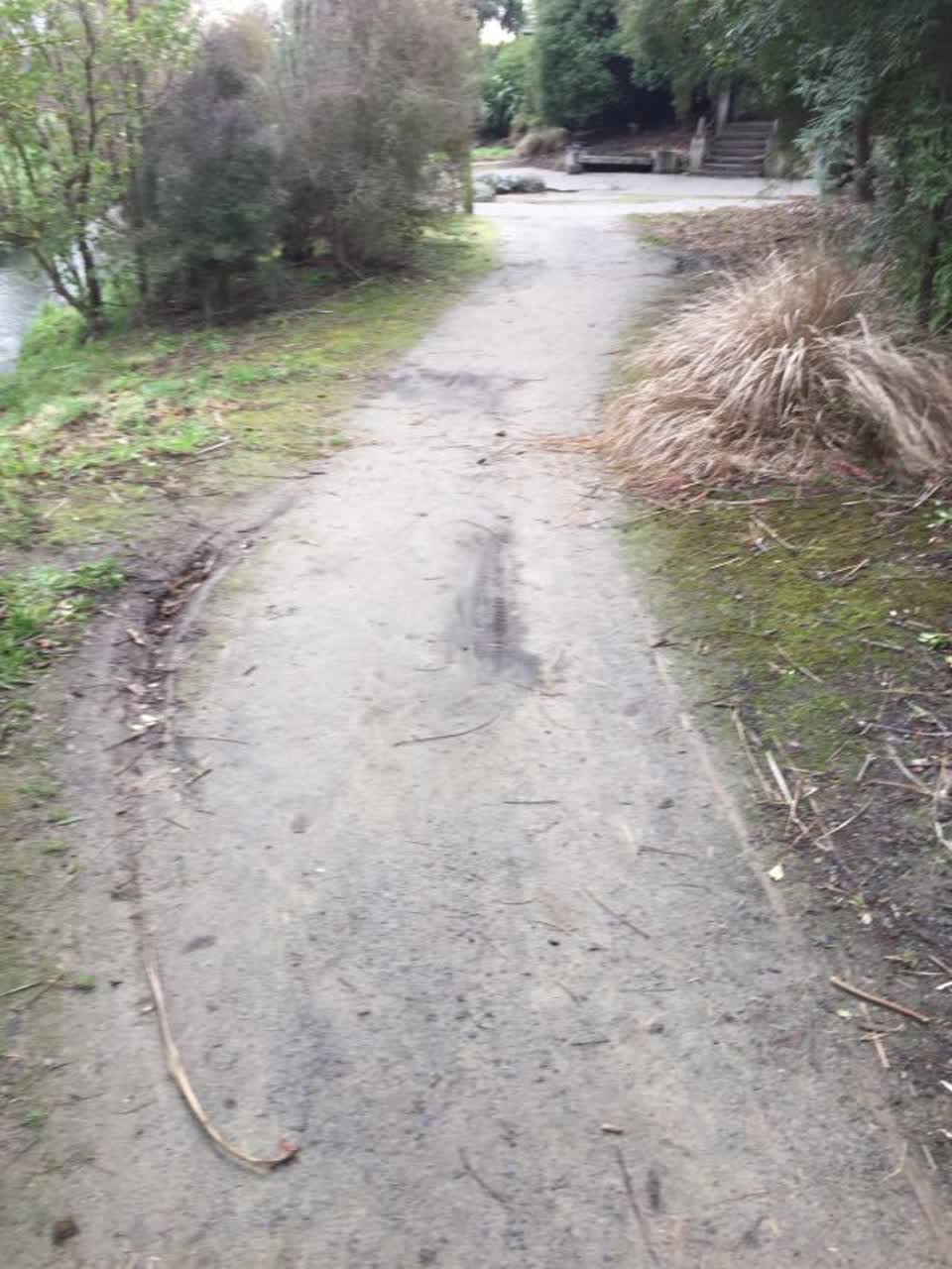 The photograph attached to this parks report