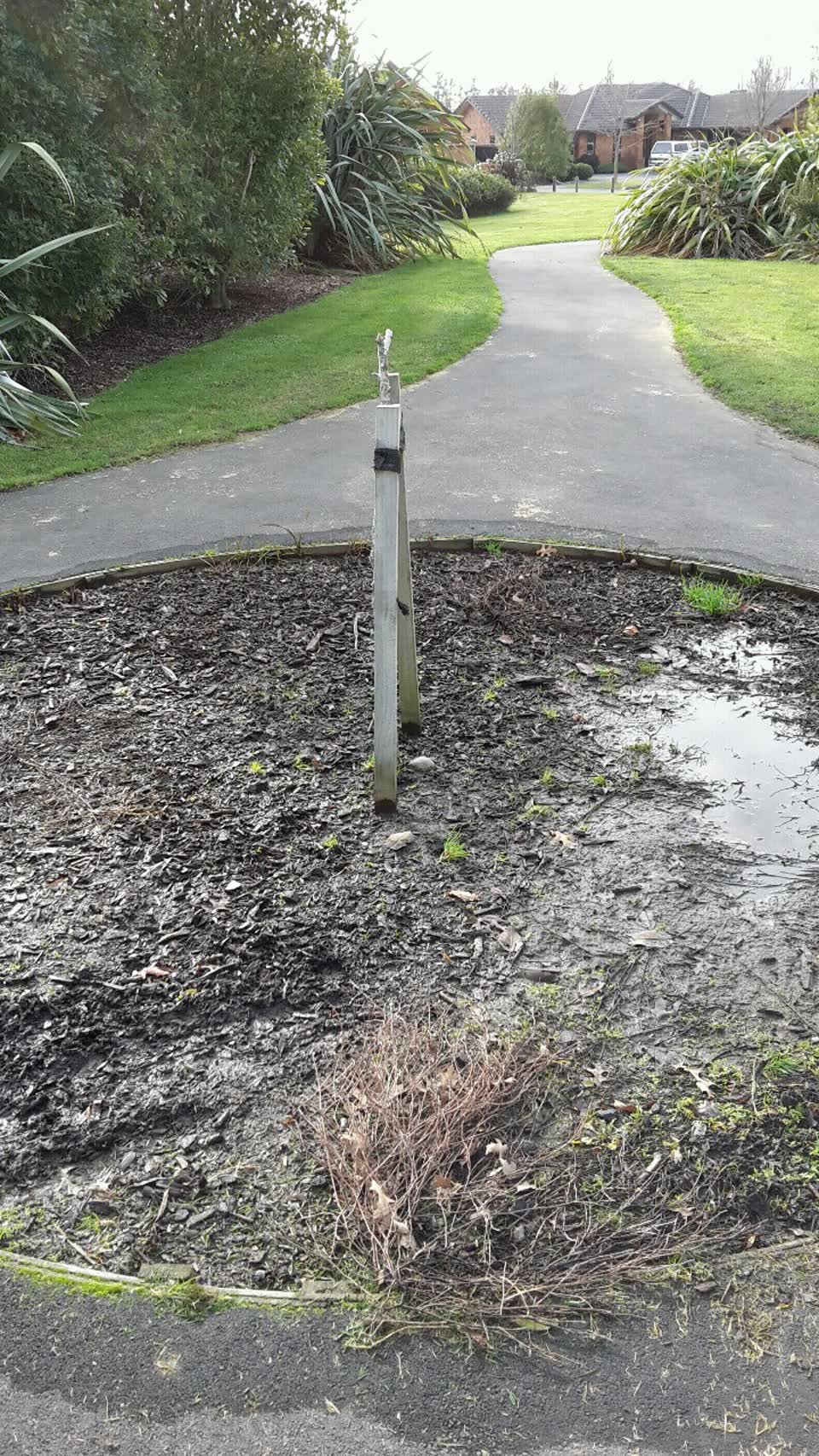 The photograph attached to this parks report