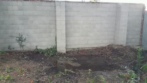 Water Supply, a report photo