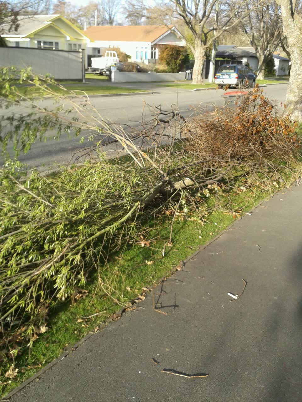 The photograph attached to this roading/streets report