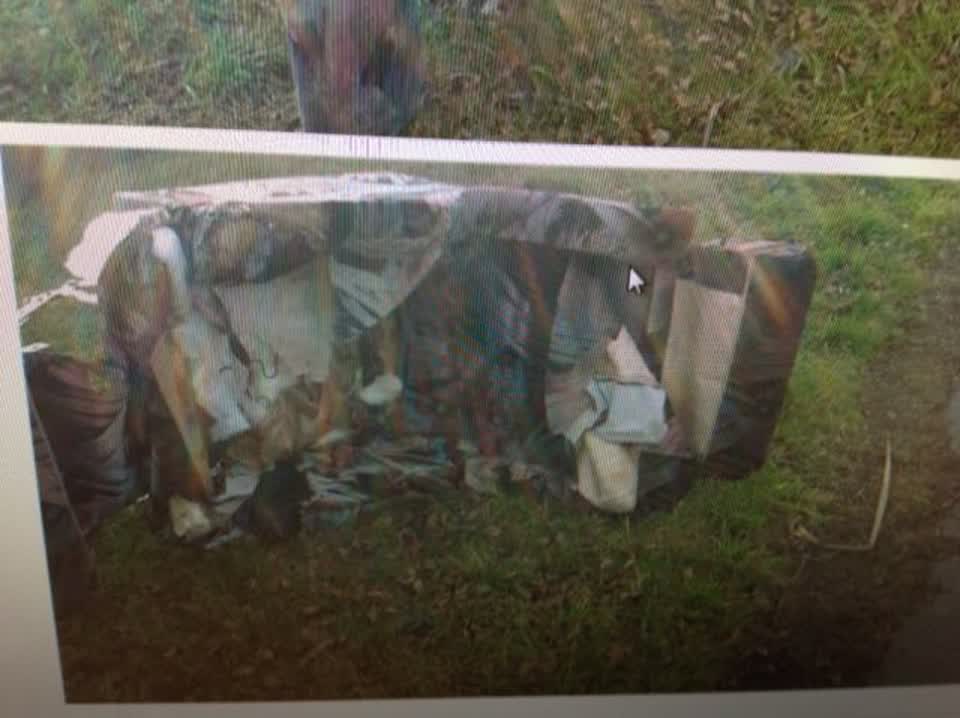 The photograph attached to this rubbish/recycling report
