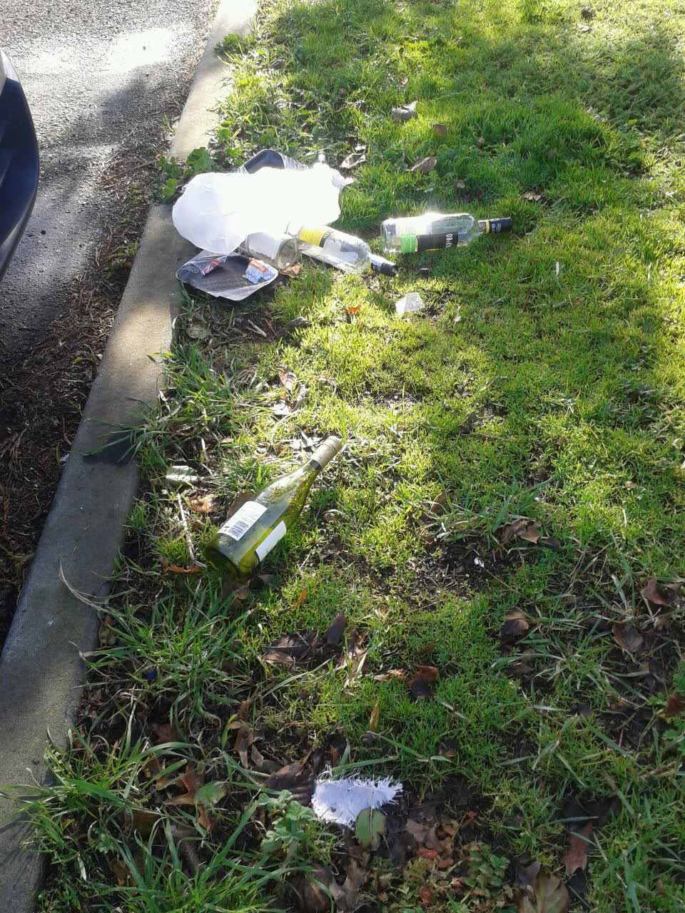 The photograph attached to this rubbish/recycling report