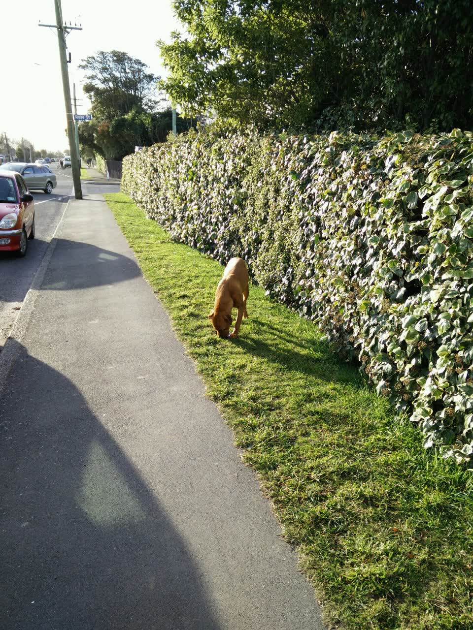 The photograph attached to this roading/streets report