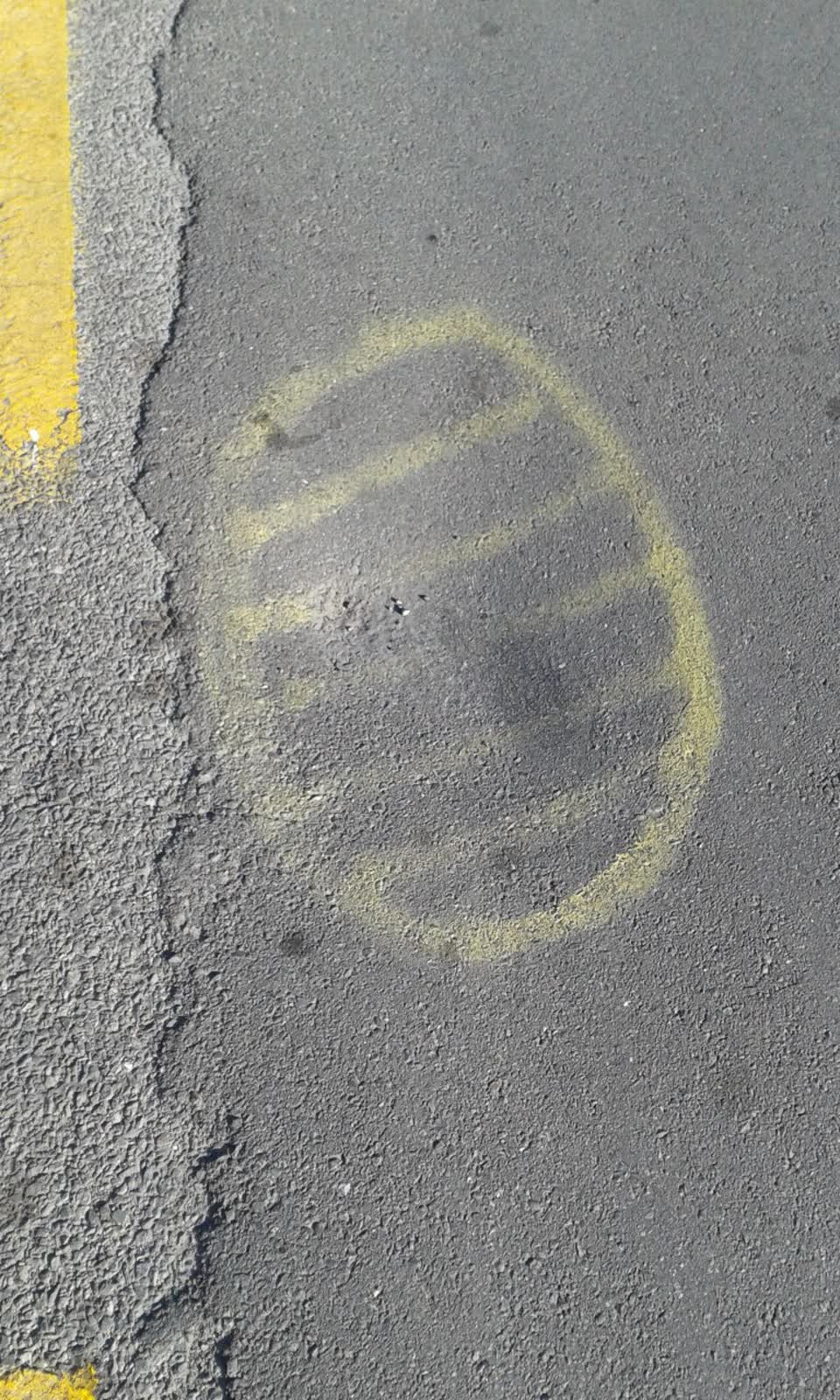 The photograph attached to this roading/streets report