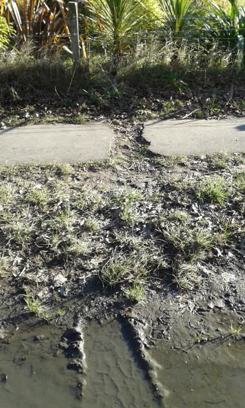 Roading/Streets, a report photo