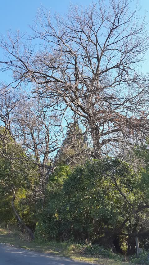 Parks, a report photo