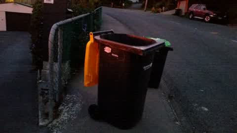 Rubbish/Recycling, a report photo