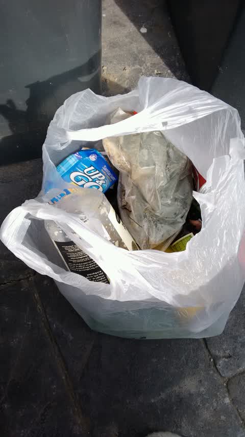 Rubbish/Recycling, a report photo