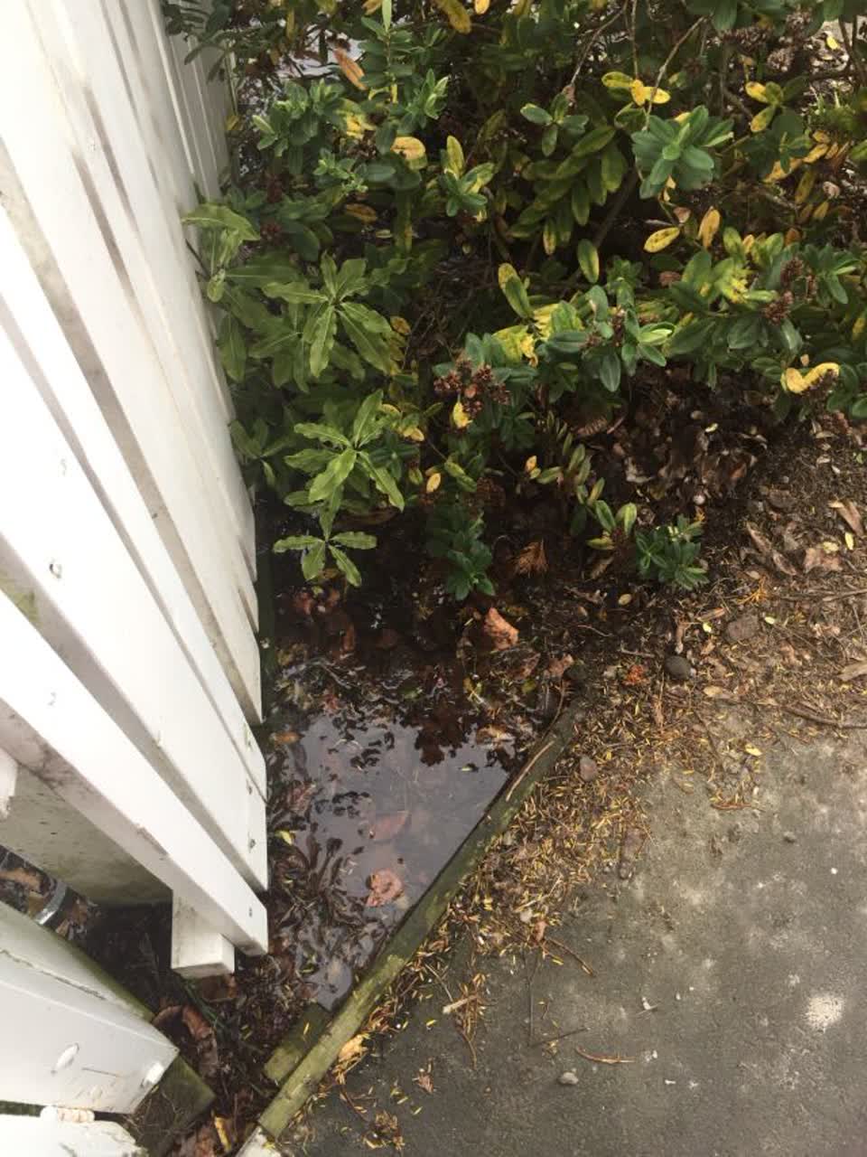 The photograph attached to this water supply report
