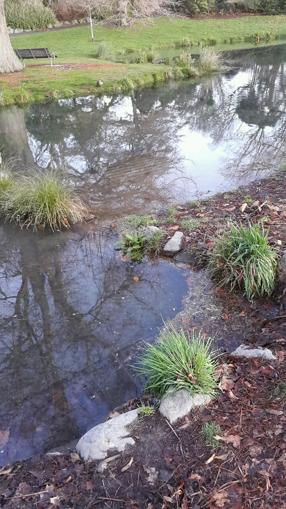 The photograph attached to this wastewater/stormwater report