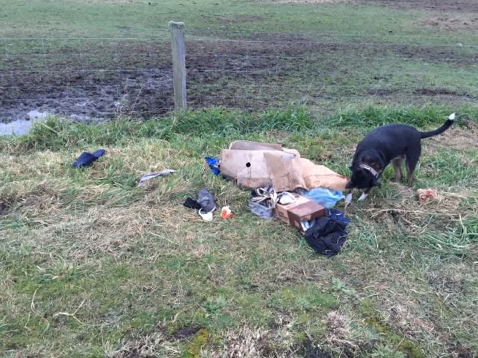 The photograph attached to this rubbish/recycling report