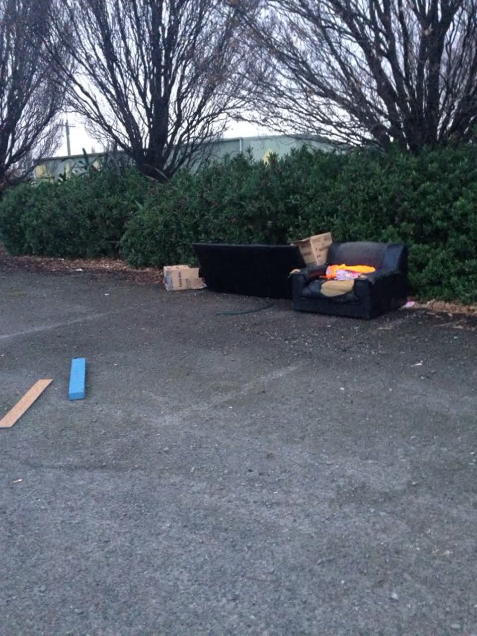 The photograph attached to this parks report