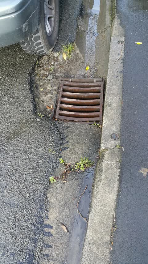 Roading/Streets, a report photo