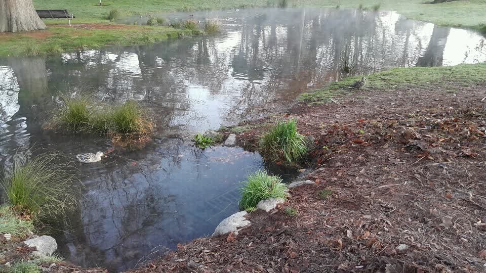 The photograph attached to this parks report