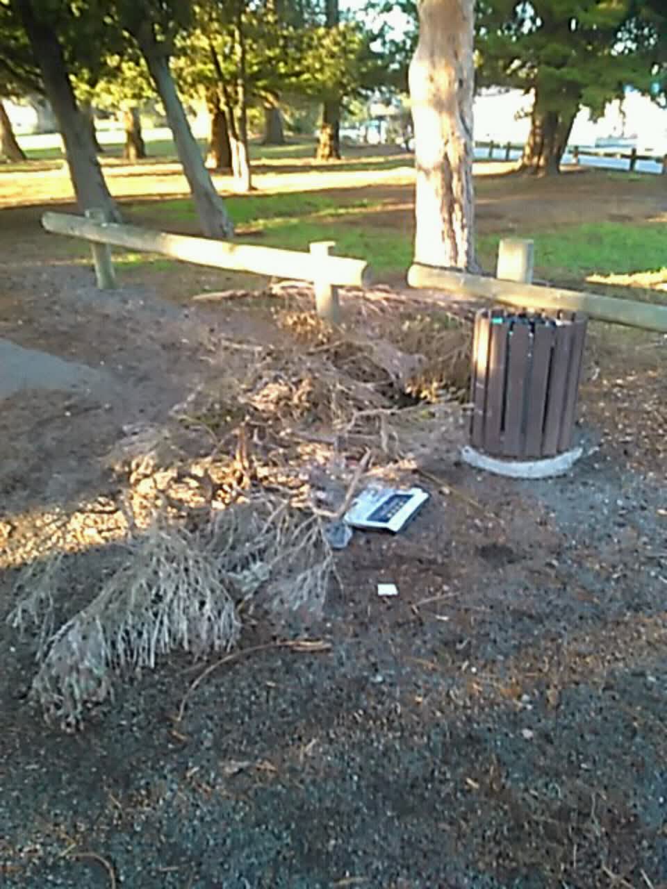 The photograph attached to this rubbish/recycling report