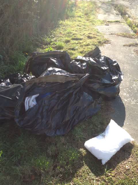 Rubbish/Recycling, a report photo