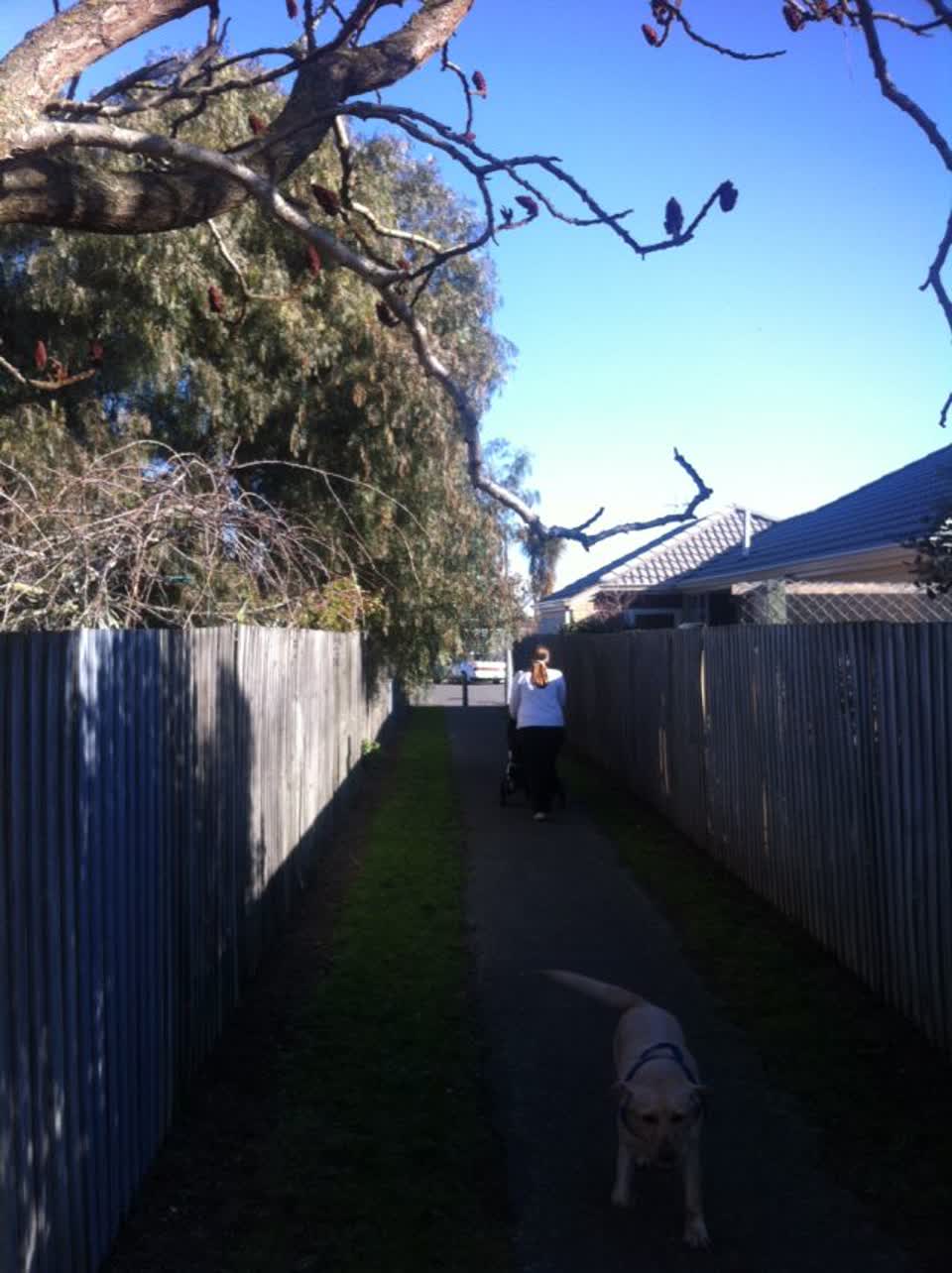 The photograph attached to this parks report
