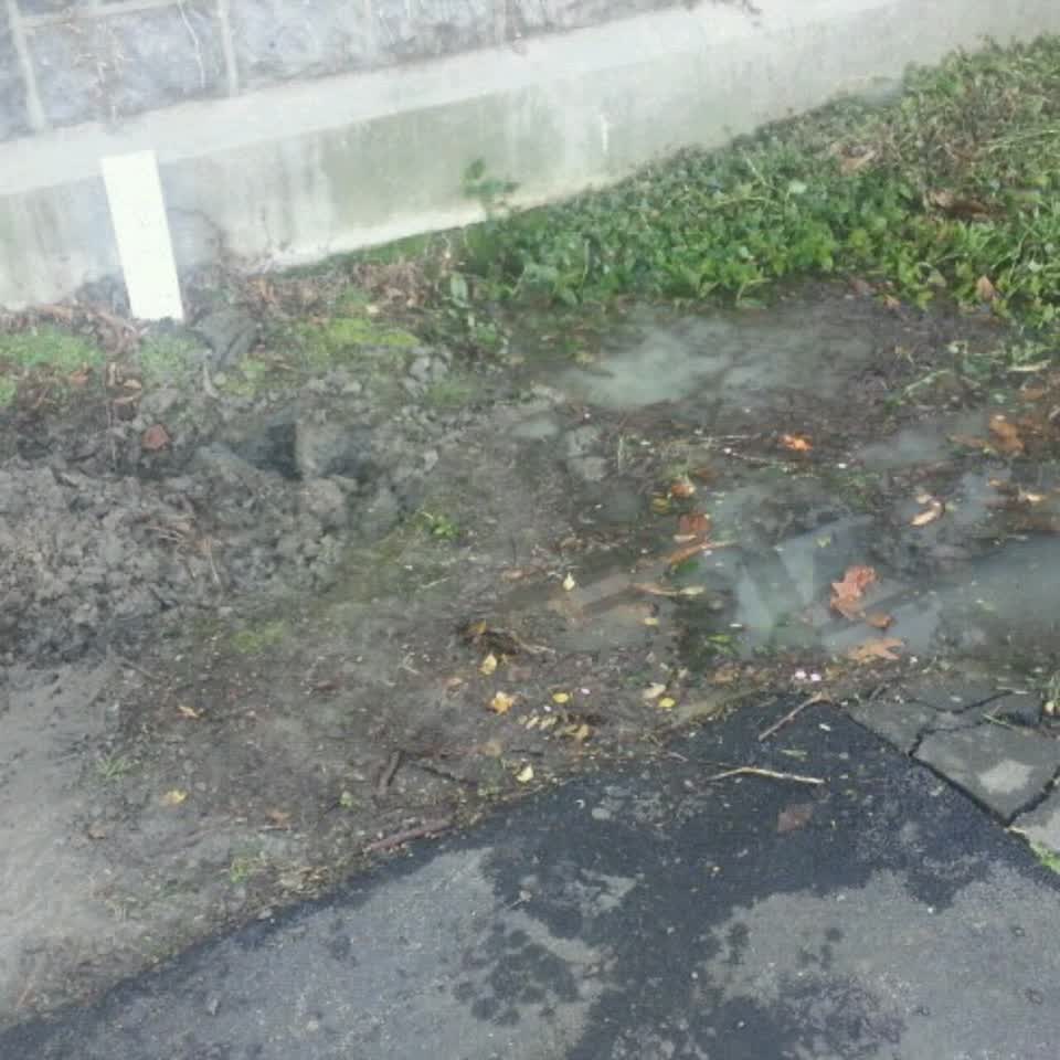 The photograph attached to this water supply report