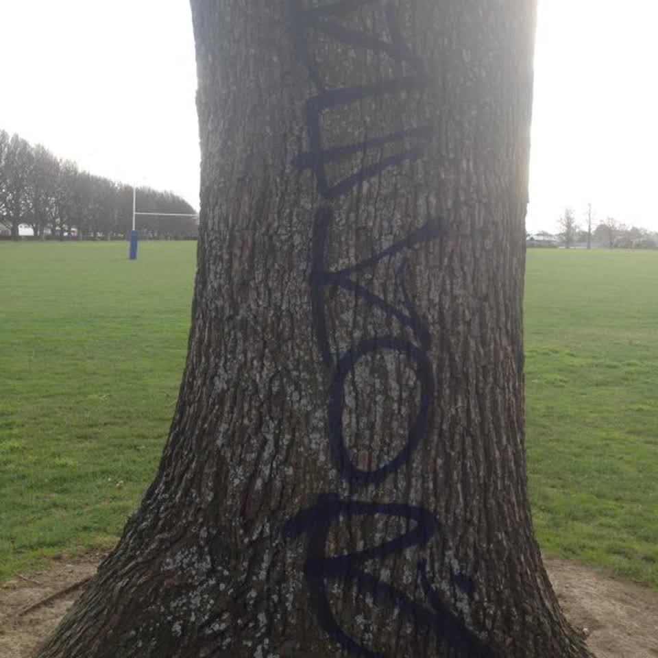 The photograph attached to this graffiti report