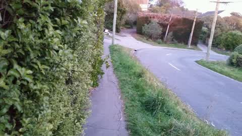 Roading/Streets, a report photo