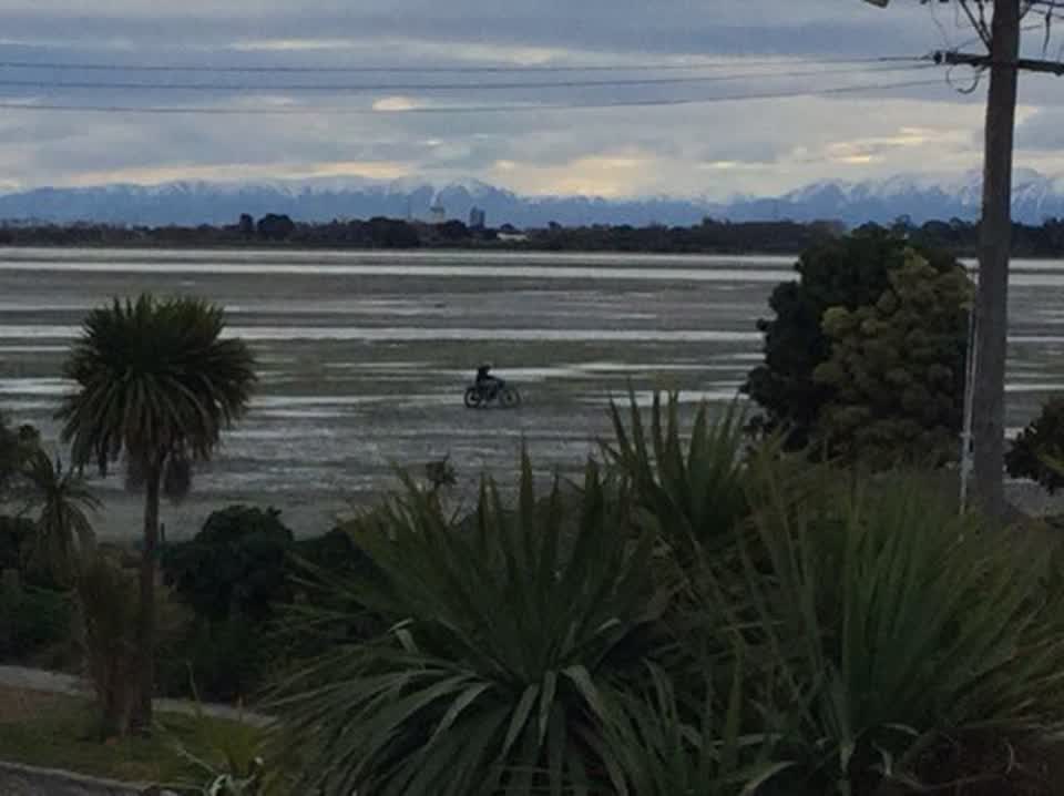The photograph attached to this parks report