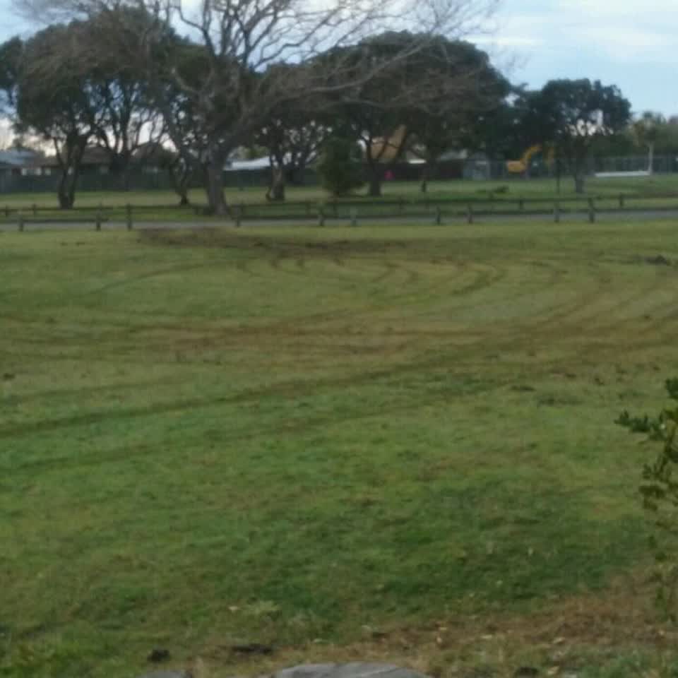 The photograph attached to this parks report