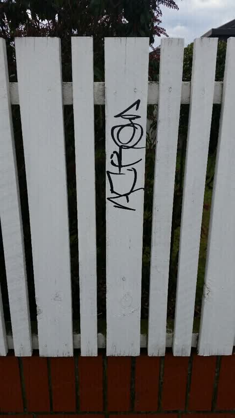 Graffiti, a report photo