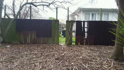 Parks, a report photo