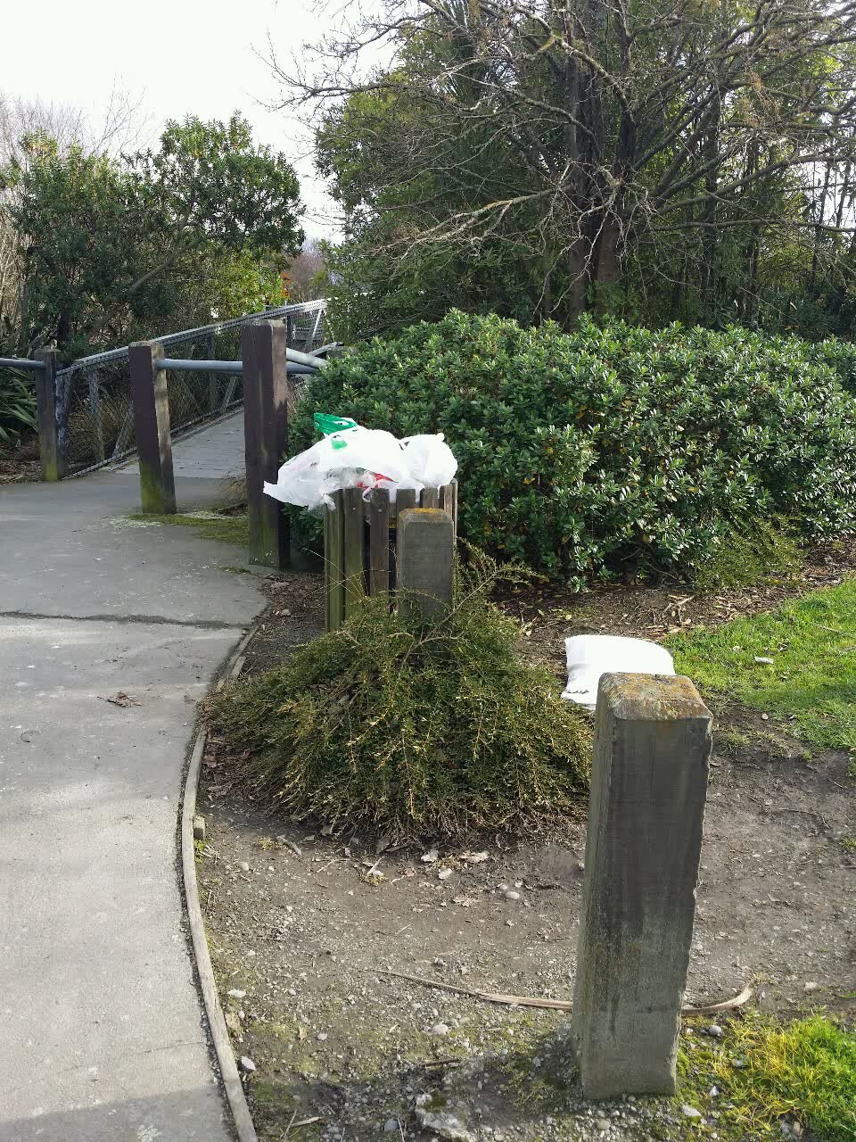 The photograph attached to this rubbish/recycling report