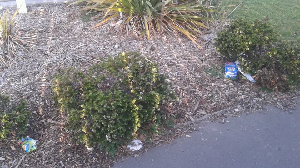 The photograph attached to this rubbish/recycling report