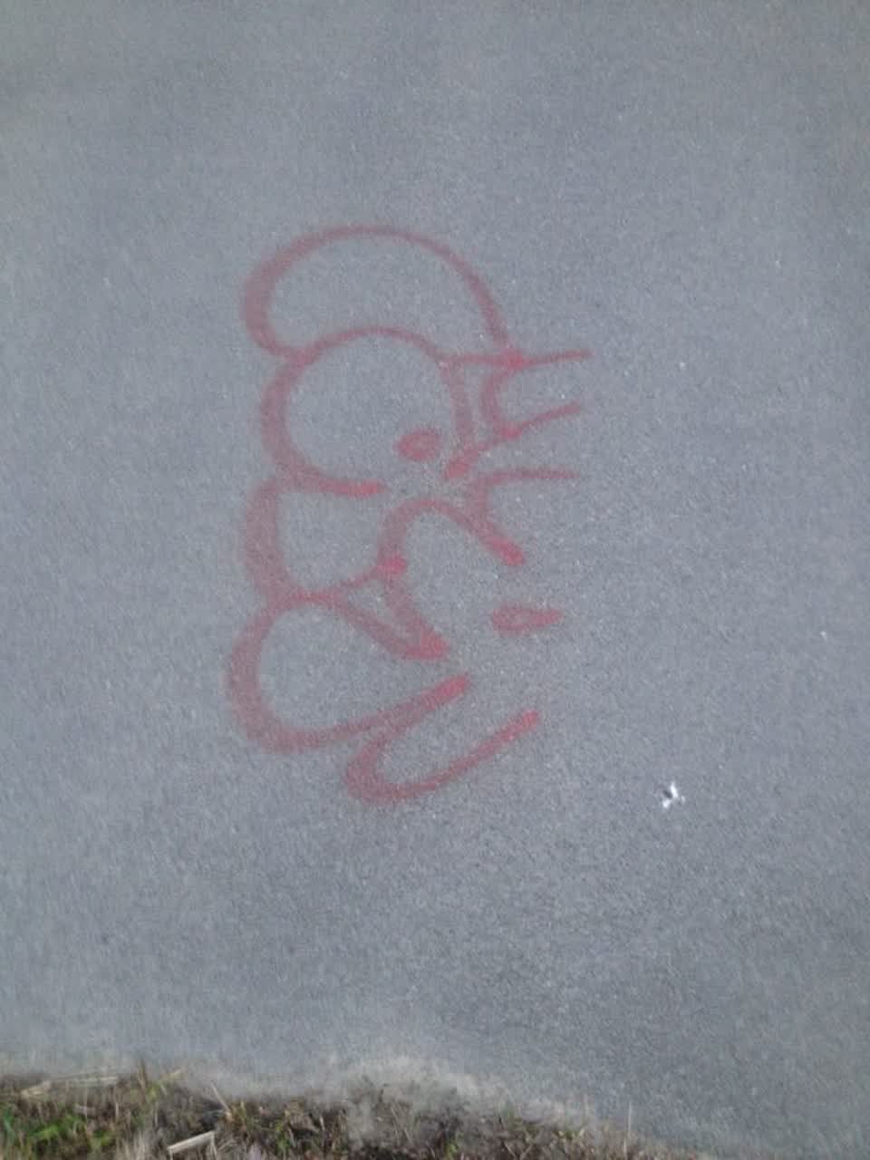 The photograph attached to this graffiti report