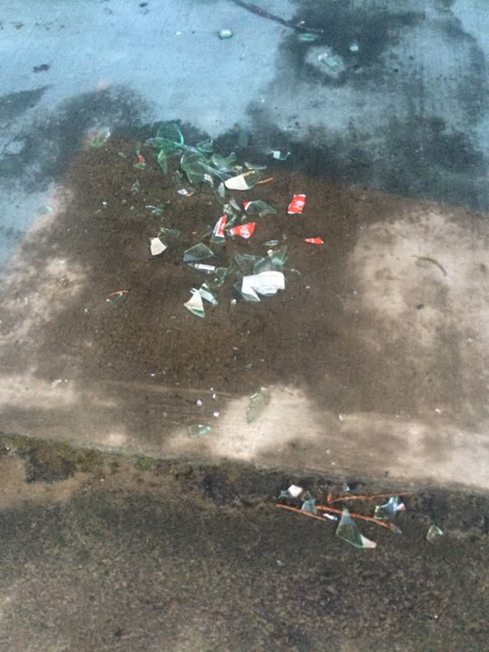 The photograph attached to this rubbish/recycling report