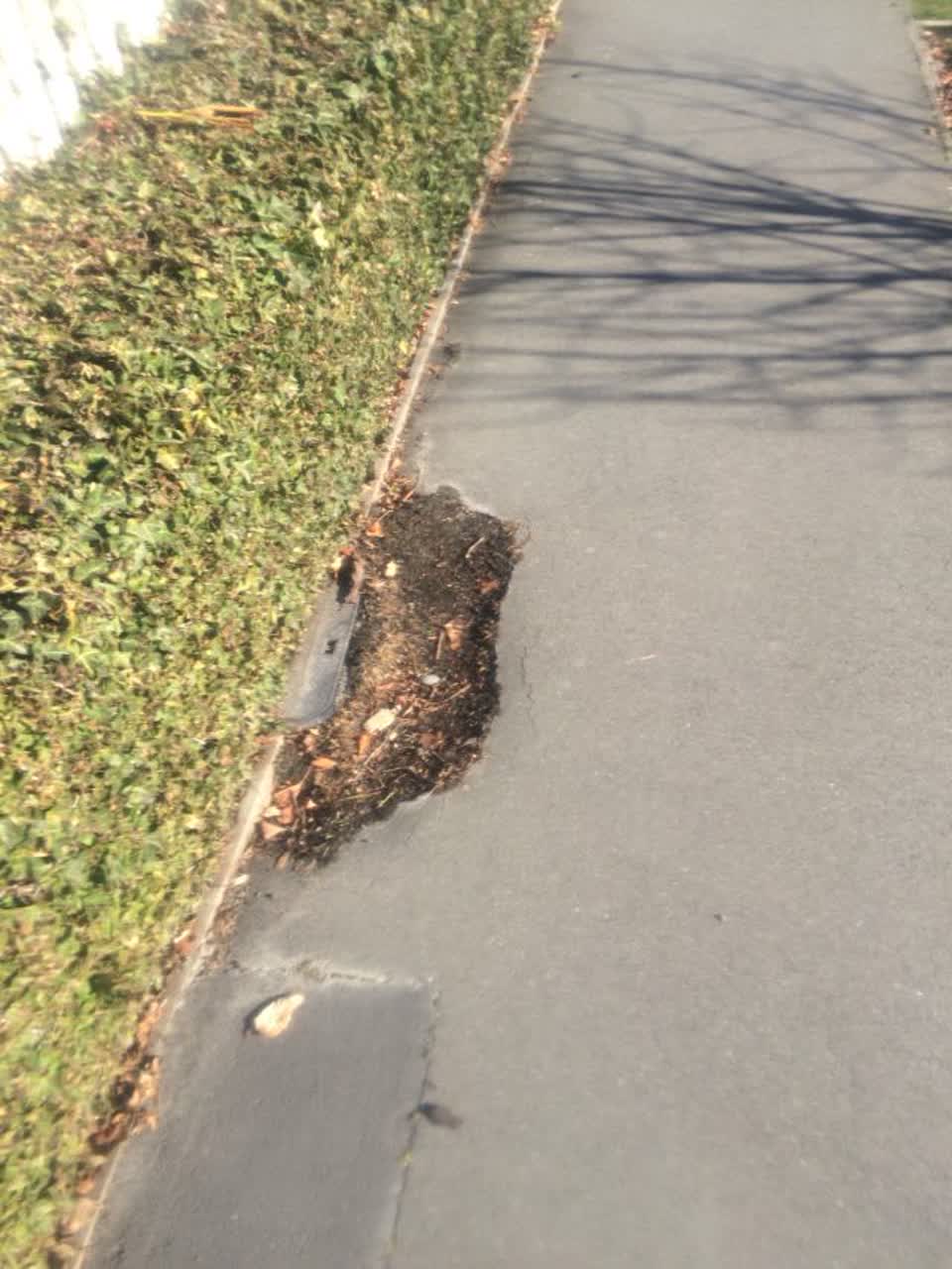 The photograph attached to this roading/streets report