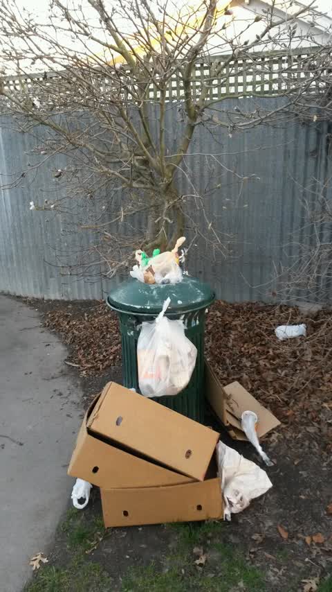 Parks, a report photo