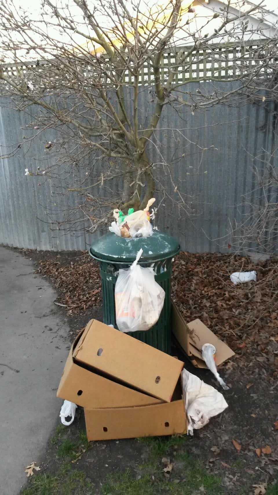 The photograph attached to this parks report